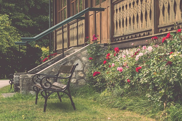 場上行為 場上行為