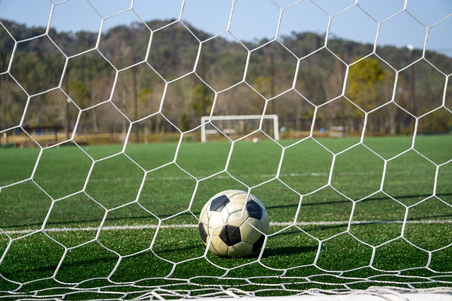 勇士队明显 勇士队明显