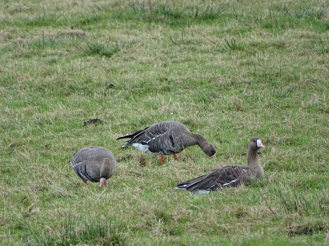 度仅10公 度仅10公