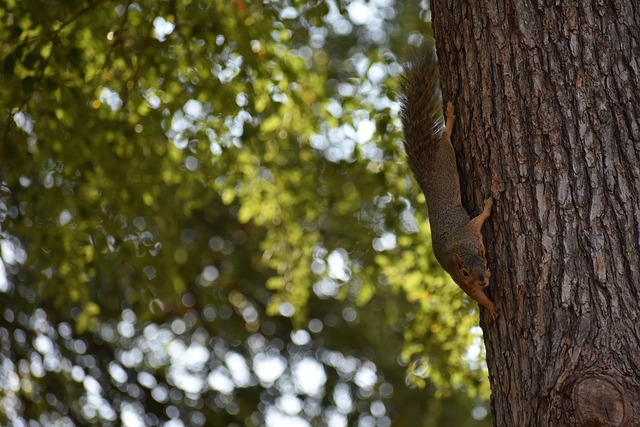 女性的风采 女性的风采